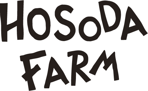 loader image